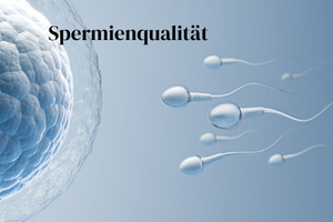 Spermienqualität Spermienqualität verbessern